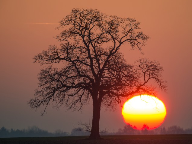 O sol nasce em perto da cidade de Mallnow, na Alemanha - 30/12/2015