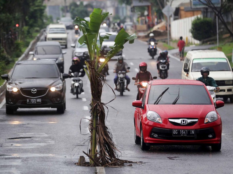 Veículos e motocicletas passam por bananeira localizada no meio de uma via em Palembang, no sul da Indonésia. A árvore foi colocada no local por um morador da área para cobrir um buraco que vinha causando diversos acidentes