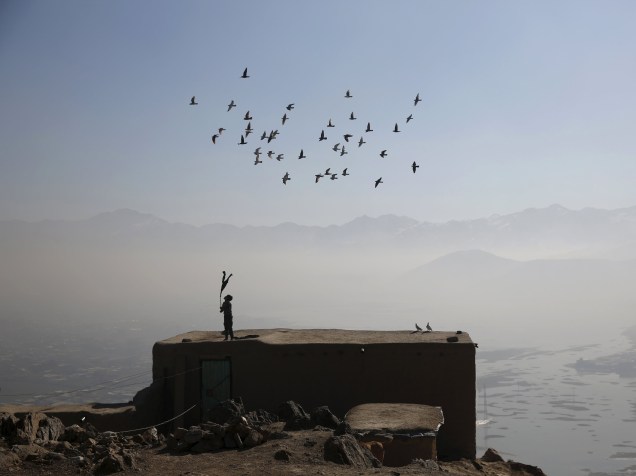 Menino afegão empunha uma vara enquanto conduz seu bando de pombos domesticados sobre o telhado de sua casa em Cabul - 19/01/2016