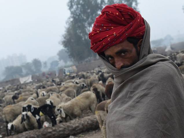 Pastor nômade do Rajastão conduz suas ovelhas em um acampamento nos arredores de Nova Délhi, na Índia - 20/01/2016