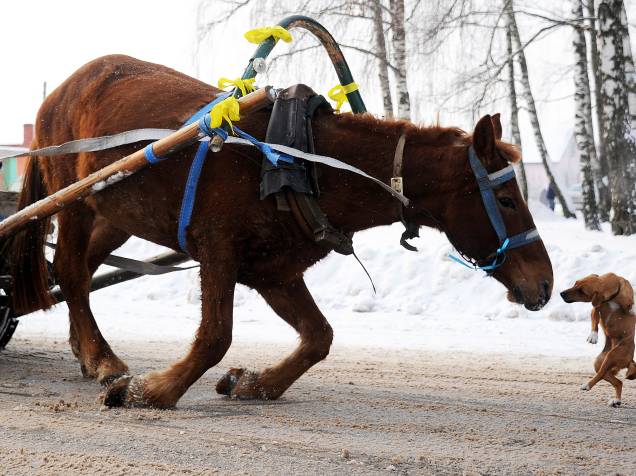 Cavalo escorrega na pista coberta de neve enquanto puxava um trenó na vila de Martsiyanauka, Ucrânia, durante festa do feriado local conhecido como Kolyada