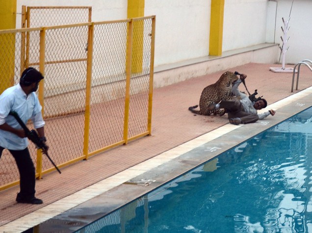 Um leopardo macho entrou em uma escola em Bangalore, na Índia, e feriu seis pessoas que tentavam capturá-lo. O animal, que invadiu a Escola Internacional Vibgyor, acabou sendo anestesiado e liberado. Um censo recente da vida selvagem estimou que a Índia possui entre 12 mil e 14 mil leopardos. Câmeras flagraram o momento em que o felino atacou um homem perto da piscina