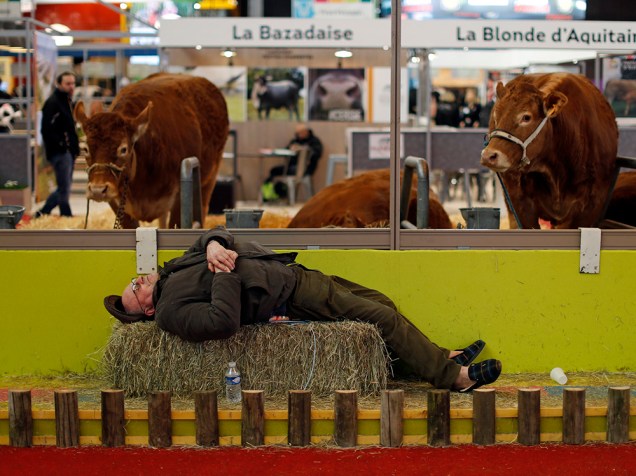 Agricultor cochila perto de vacas expostas no Show Internacional de Agricultura em Paris, na França. O evento teve início no final de semana e ocorre até domingo (6)