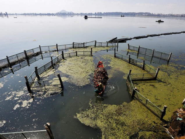 Uma Mulher é fotografada em barco repleto de ervas no lago Dal em Srinagar, na Índia
