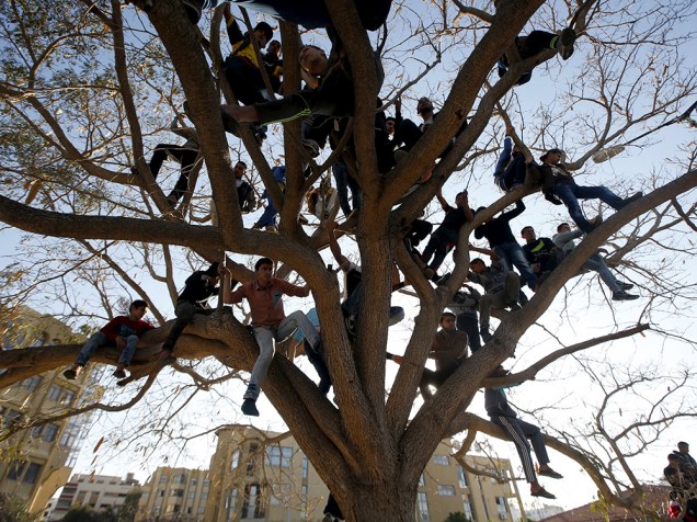 Palestinos sobem em árvore para observar desfile, em Gaza - 01/04/2016