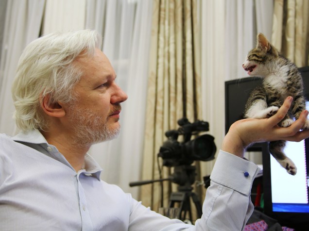 Fundador do WikiLeaks, Julian Assange segura um filhote de gato na Embaixada do Equador em Londres. O animal, segundo o WikiLeaks, é um presente de seus filhos para fazer companhia ao australiano - 09/05/2016