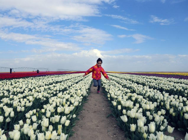 Garota corre entre campos de tulipas, que foi aberto ao público por dois dias em na cidade de Konya, Turquia - 13/04/2016
