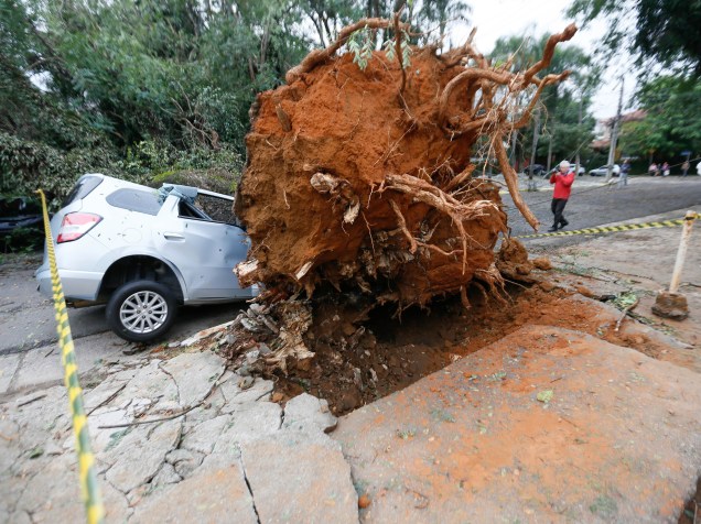Chuva derruba árvore sobre um carro entre a avenida Dr. Arnaldo e a rua Alfonso Bovero, no Sumaré, zona oeste de São Paulo - 17/05/2016