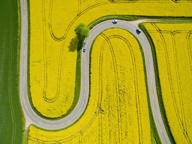 Vista aérea mostra os carros atravessando uma estrada sinuosa entre campos de colza perto de Bad Muender am Deister, na Alemanha - 12/05/2016