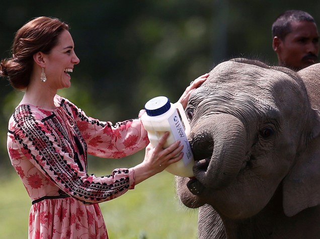 Kate Middleton alimenta um bebê elefante no Centro de reabilitação de animais selvagens e Conservação (CWRC) na reserva florestal Panbari em Kaziranga, na Índia. O casal da realeza britânica realiza turnê pela Ásia - 13/04/2016