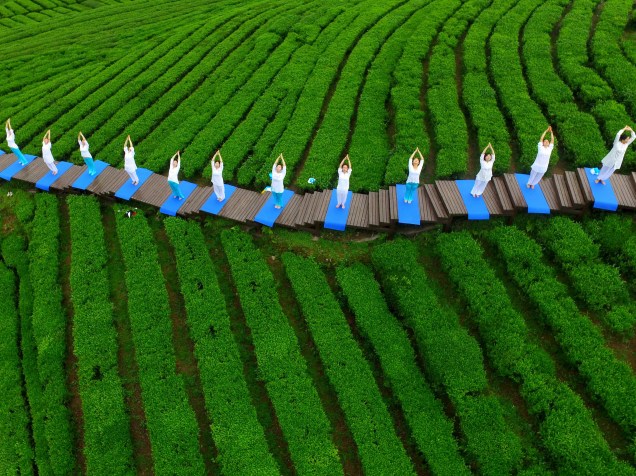 Pessoas praticam yoga em um parque de cultivo de chá, em Enshi, na província chinesa de Hubei