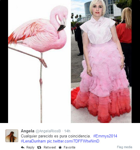 A comparação é interessante, mas convenhamos: flamingos são mais elegantes
