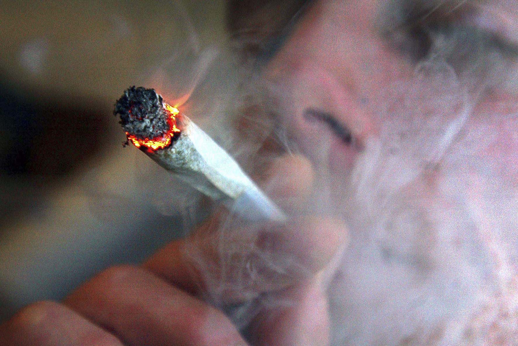大麻了解一下，大麻一般能长到1~3米。种植可剥麻收子。有雌有雄