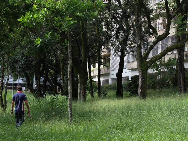 No Plano Piloto, a região central de Brasília, o mato alto denuncia a incapacidade de gestão