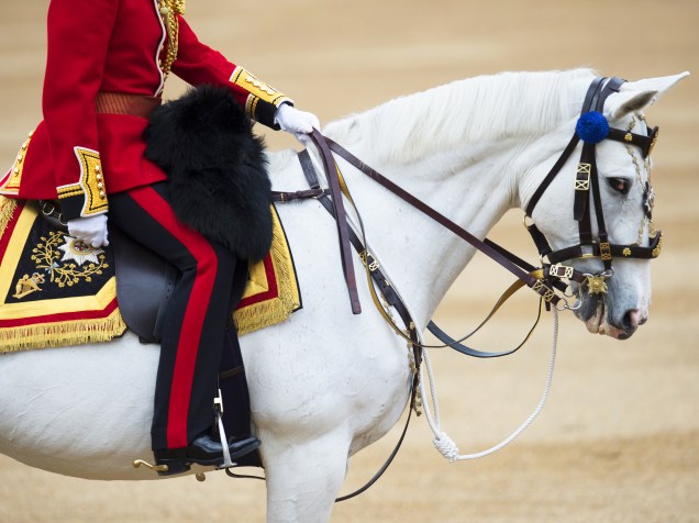 Cavalo e soldado britânico, durante a parada Trooping The Colour, que celebra o aniversário da rainha Elizabeth II - 11/06/2016