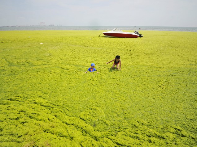 Em Qingdao, província de Shandong, China, garotos brincam em uma praia coberta por algas verdes