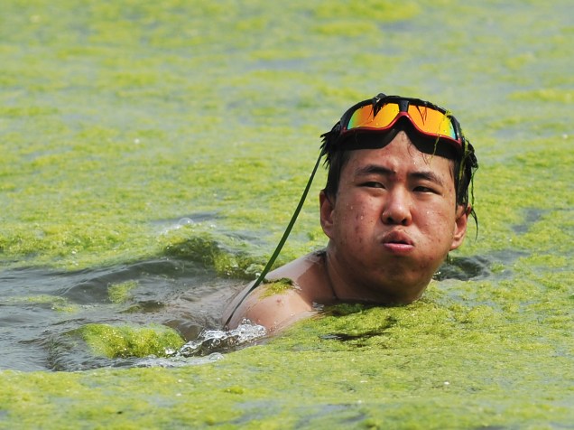 Homem nada em meio as algas na praia de Qingdao, província de Shandong, China