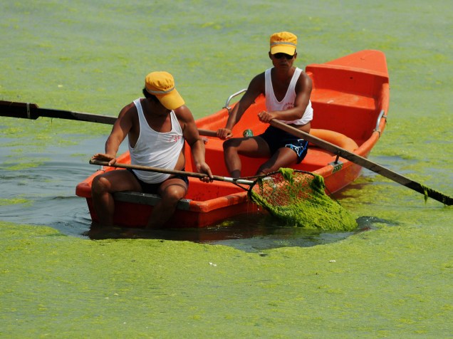 Homens limpam o mar da praia de Qingdao, província de Shandong, China. O fenômeno das algas, uma ocorrência anual em Qingdao, é geralmente causada por uma abundância de nutrientes na água