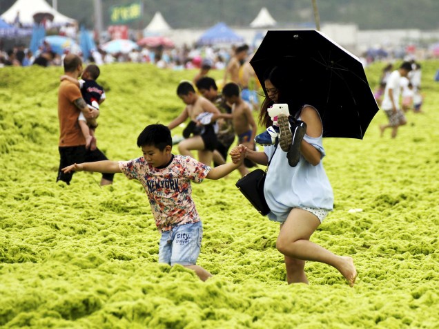 Nos últimos anos, sempre no verão, uma grande quantidade de algas invadem as praias perto de Qingdao, cidade localizada na província de Shandong, China