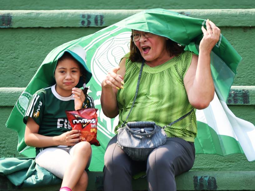 Torcedores do Palmeiras no estádio do Pacaembu, pela 29ª rodada do Campeonato Brasileiro 2014, neste domingo (19)