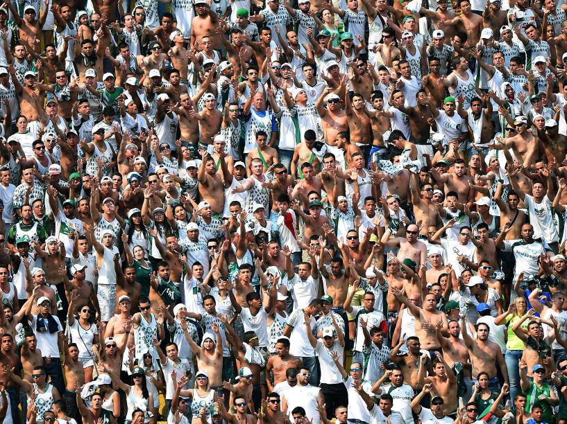 Torcedores do Palmeiras no estádio do Pacaembu, pela 29ª rodada do Campeonato Brasileiro 2014, neste domingo (19)
