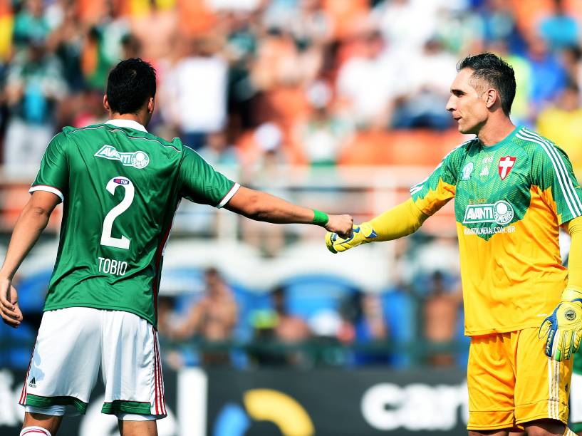 Jogadores do Palmeiras durante partida contra Santos no estádio do Pacaembu, pela 29ª rodada do Campeonato Brasileiro 2014, neste domingo (19)