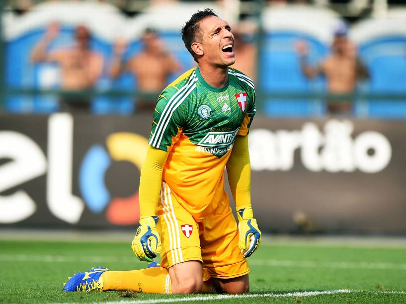 O goleiro Fernando Prass do Palmeiras durante partida contra o Santos no estádio do Pacaembu, pela 29ª rodada do Campeonato Brasileiro 2014, neste domingo (19)