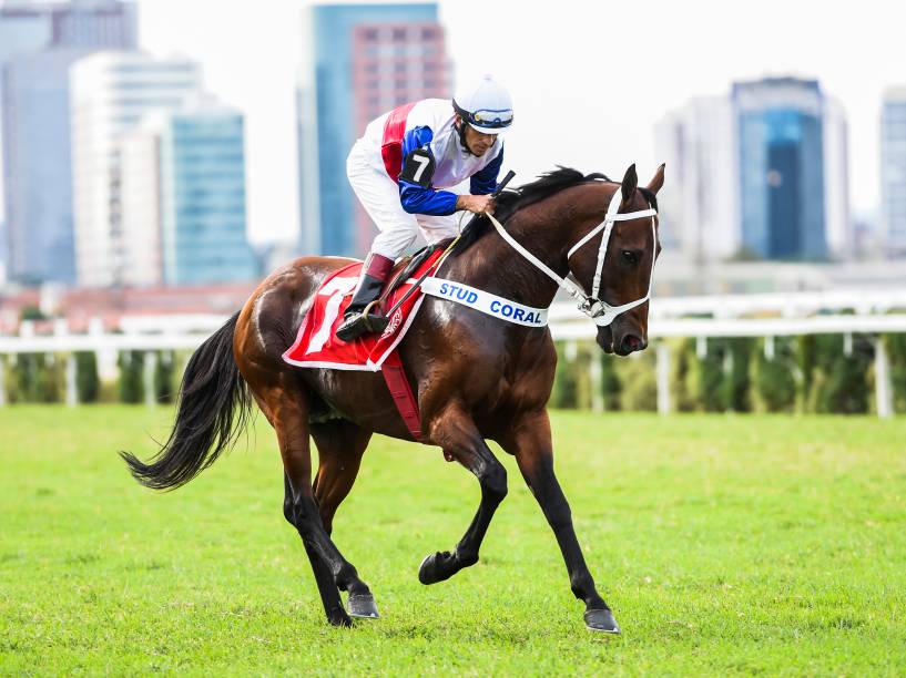 91ª edição do Grande Premio São Paulo de turfe no Jockey Club