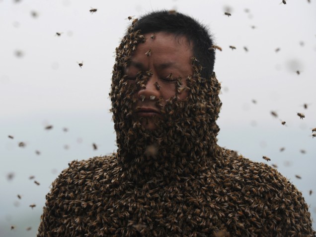 Apicultor chinês coberto com cerca de 460 mil abelhas na cidade de Chongqing