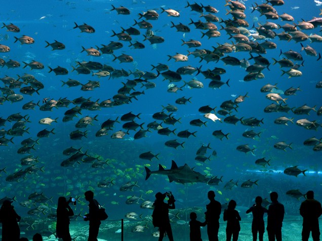 Inaugurado em março de 2014, o parque aquático da cidade chinesa de Zhuhai é considerado o maior do mundo