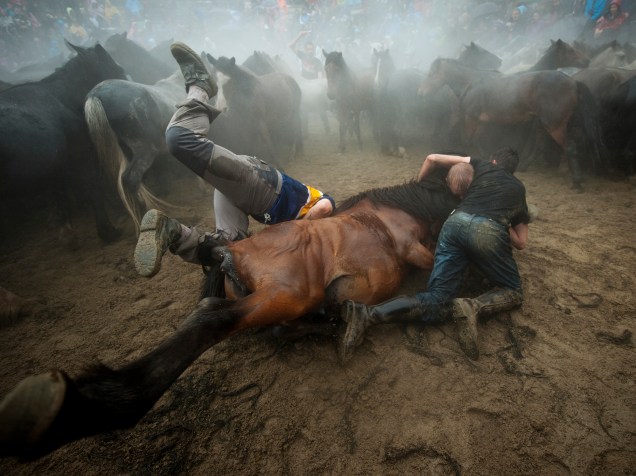 Na cidade de Sabucedo, espanhóis capturam e aparam a crina de cavalos selvagens durante a tradicional Rapa das Bestas