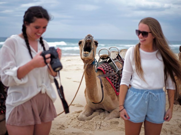 Em praia ao norte de Sidney, turistas conferem fotos dos camelos que já foram utilizados como meio de locomoção nos desertos australianos. Hoje divertem os visitantes