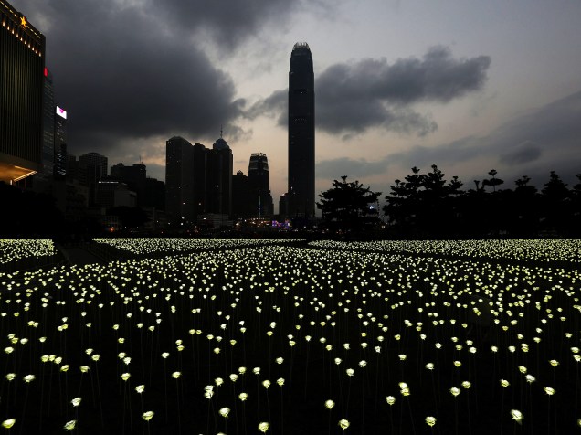 Parque iluminado para celebrar o dia de Valentines Day, Dia de São Valentim em Hong Kong