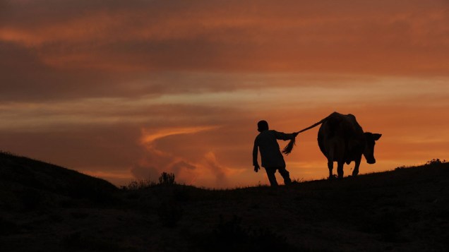 Garoto caminha por pasto ao amanhecer no Afeganistão