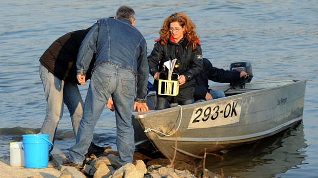 Especialistas colhem amostra da água do Danúbio na Croácia, depois que vazamento de lama tóxica chegou ao rio