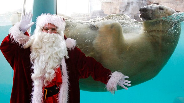 Homem vestido de papai noel posa para foto em frente ao tanque do urso Rasputin no parque aquático Marineland em Antibes, França