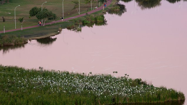 Expedição Veja. Na foto vista geral do centro de Três Lagoas no Mato Grosso do Sul