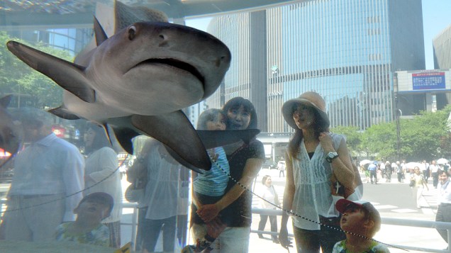 Japoneses observam peixes em aquário gigante para as comemorações do Dia Marinho no Japão