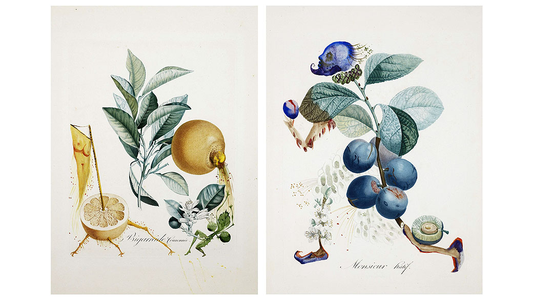 Obras 'Grapefruit Erótico' e 'Ameixa Apressada' do pintor espanhol Salvador Dalí