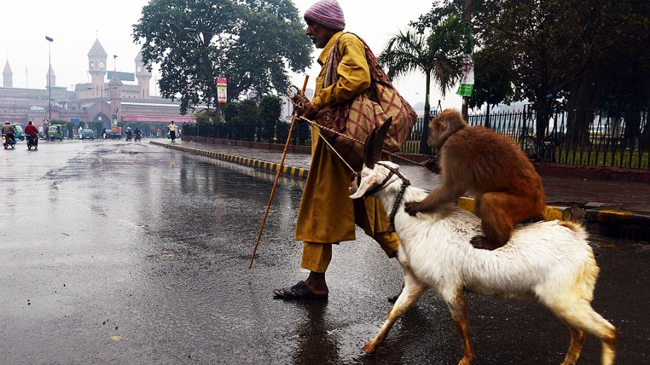 Artista de rua caminha com seu macaco treinado em cima de uma cabra durante uma chuva forte em Lahore, no Paquistão