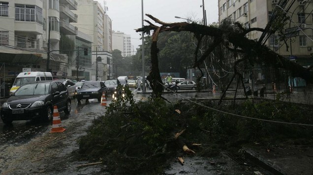 Árvore caiu em Botafogo, na Zona Sul do Rio, deixando o trânsito lento
