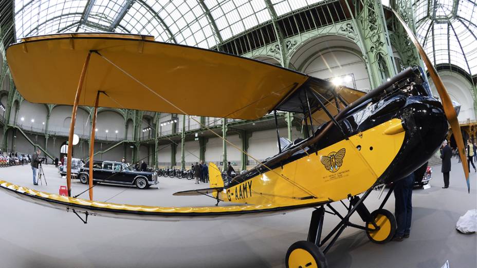 Um avião Havilland Gipsy Moth (1929) é exibidos em leilão no Grand Palais, França