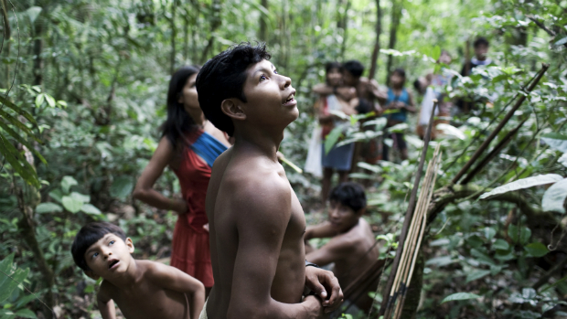 A tribo dos Awá, segundo a ONG Survival Internacional, sofre com a ação de madeireiros e enfrenta pistoleiros