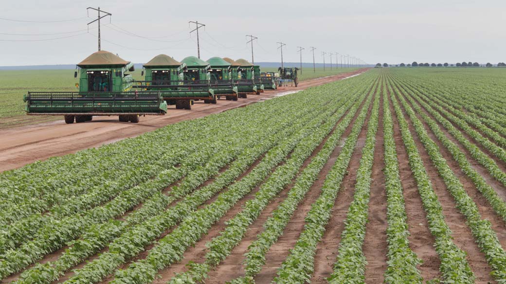 Plantação de Algodão em Balsas no Maranhão