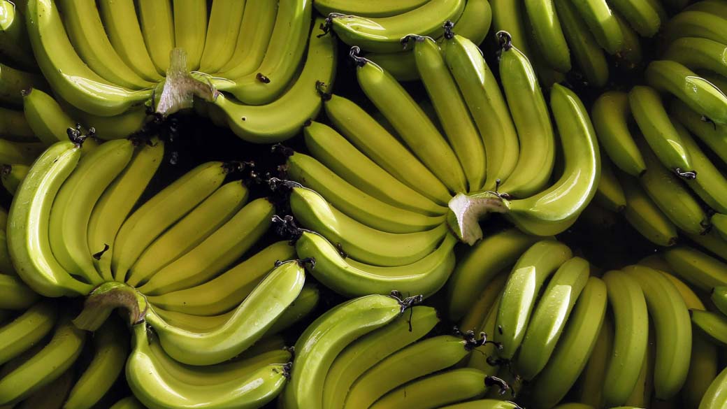 Chiquita atua no segmento de frutas tropicais, especialmente bananas