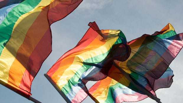 Bandeira da causa LGBTS contra a homofobia