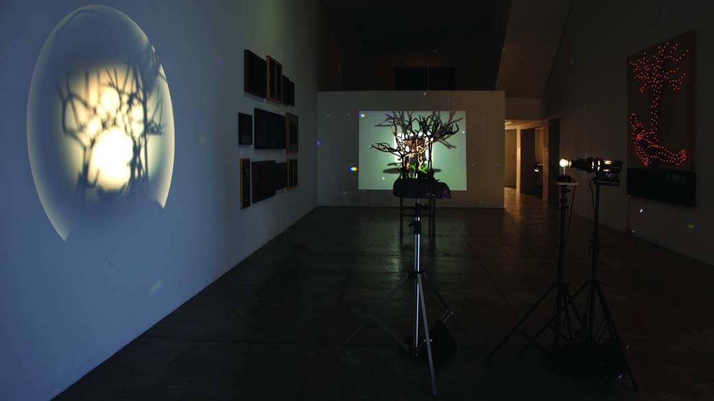 A instalação O Jardim, faço nele a volta ao Infinito – parte 02, a Noite, 2010, de Albano Afonso, que irá compor a 29° Bienal de São Paulo