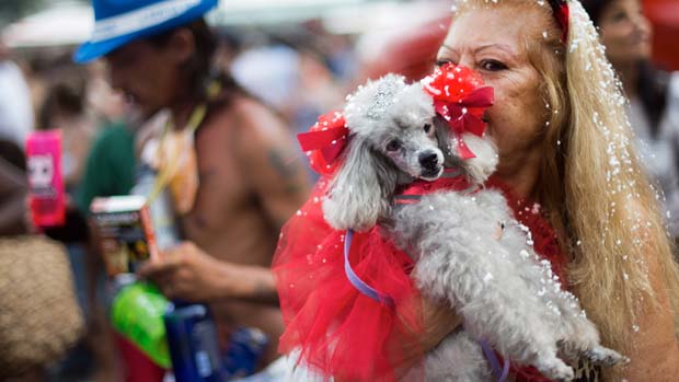 Mulher leva o seu poodle para o carnaval dos animais, na praia de Copacabana