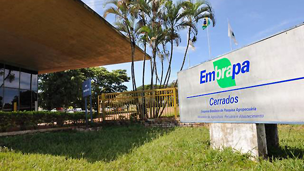 Resultados do concurso da Embrapa para diversas áreas são divulgados: saiba como acessar