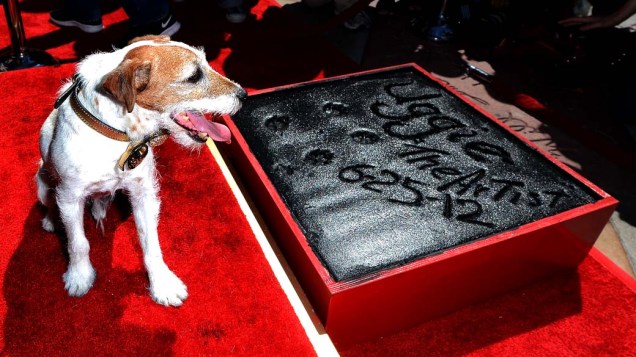 O cachorro Uggie fez sua assinatura na calçada da fama